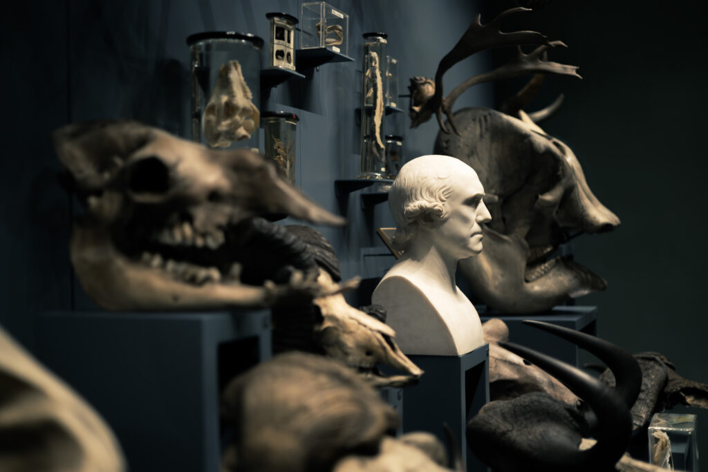 hunterian_museum_john_hunter_collection